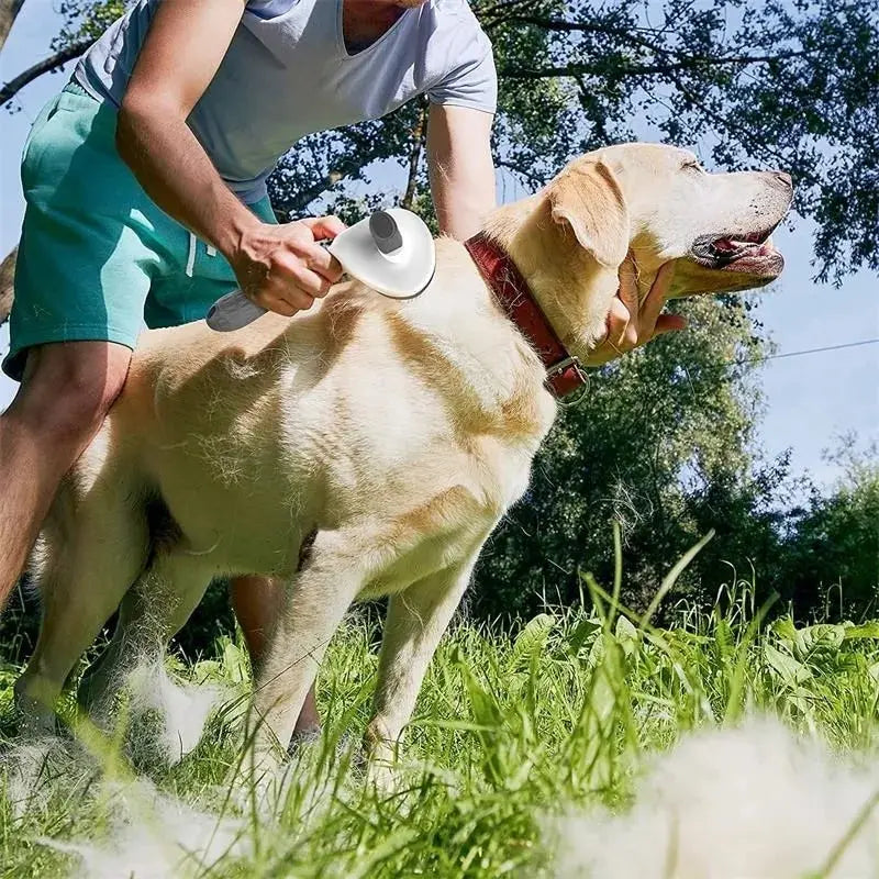 Escova para remoção e tosa de pelos de animais de estimação